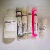 红色荧光球micromer®-redF