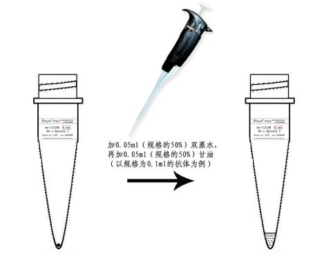 三磷酸腺柠檬酸裂解酶抗体