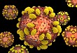 Xpert® HCV Viral Load