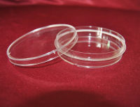 100MM细胞培养皿