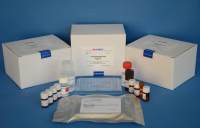 鸡促甲状腺素释放激素(TRH)ELISA试剂盒