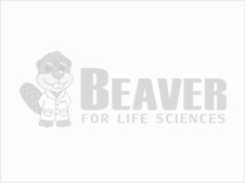 海狸BEAVER T7 DNA连接酶 80107H L