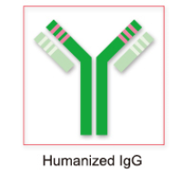 HIV-1病毒复制结合蛋白2抗体