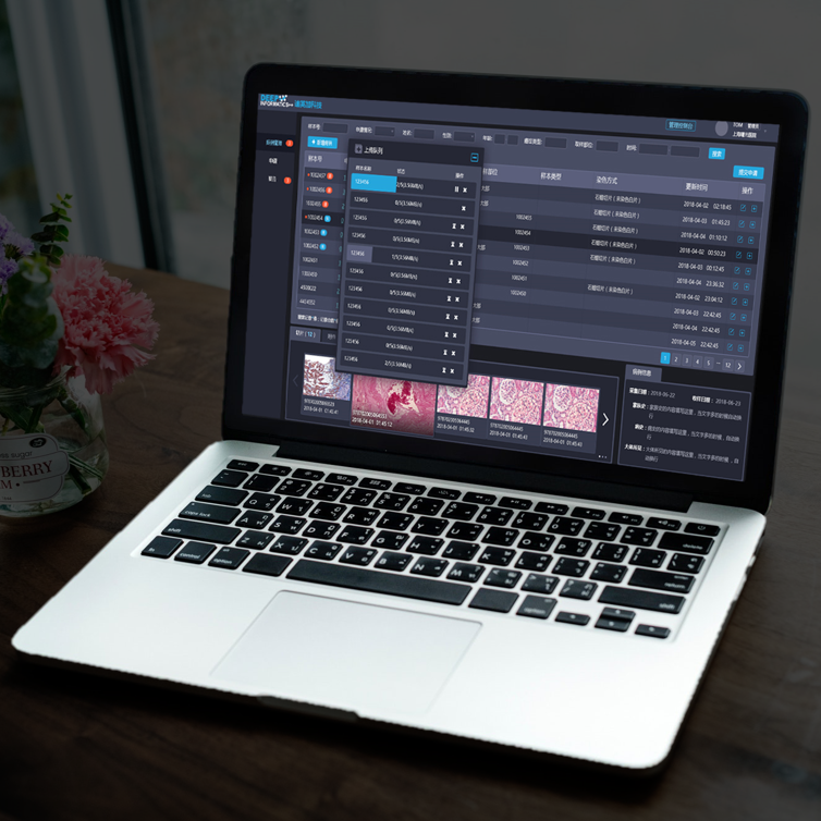 D-PathConnect 远程病理互联系统