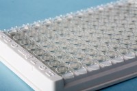 海狸BEAVER 链霉亲和素包被微孔板22351