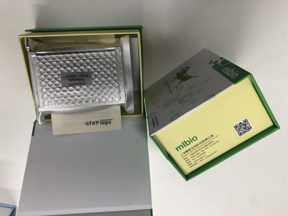 人IgG-Fc片段受体Ⅱ(FcγRⅡ)ELISA试剂盒