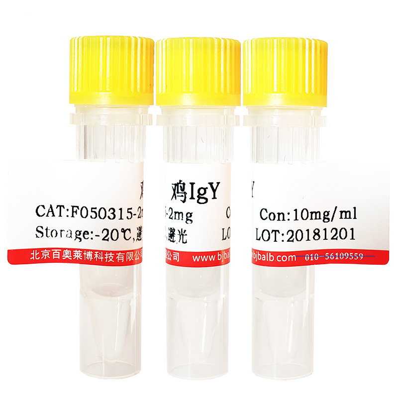 YY1抗体优惠促销