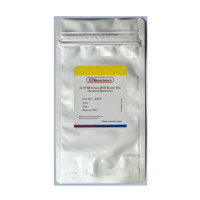 2× SYBR Green qPCR Mix
