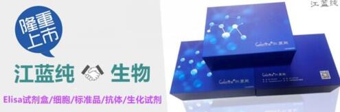 人白细胞分化抗原CD30(CD30)ELISA试剂盒