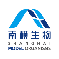 基因修饰小鼠模型定制服务