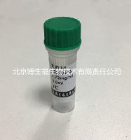 重组梅毒抗原(TP)-层析用