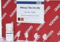 qiagen RNA提取试剂盒（细胞、组织或酵母）