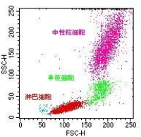 流式细胞技术服务