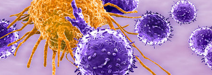 CAR-T