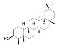 Epifriedelanol 	表木栓醇 CAS:16844-71-6