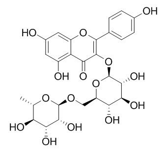 Nicotiflorin 山酚-3-O-芸香糖苷 CAS:17650-84-9