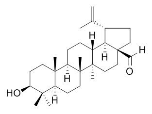 Betulinaldehyde 白桦脂醛 CAS:13159-28-9