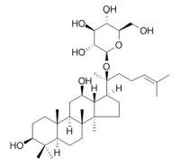 Ginsenoside Compound K 人参皂苷CK CAS:39262-14-1