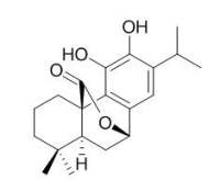 Carnosol 	鼠尾草酚,CAS:5957-80-2
