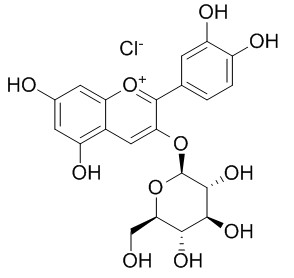 Cyanidin-3-O-glucoside chloride 矢车菊素-3-O-葡萄糖苷 CAS:7084-24-4