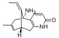 (-)-Huperzine A 石杉碱甲,CAS:102518-79-6