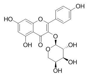 Kaempferol 3-O-arabinoside 堪非醇3-O-阿拉伯糖苷 CAS:99882-10-7