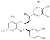 表儿茶素490-46-0规格