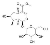 Loganin 马钱苷,CAS:18524-94-2