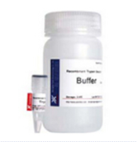 重组胰蛋白酶细胞消化液消化能力强纯度高