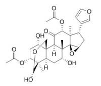 Toosendanin 川楝素 CAS:58812-37-6