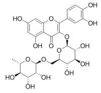 Rutin 芦丁（UV）CAS：153-18-4