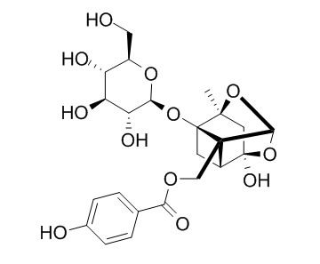 Oxypaeoniflorin 羟基芍药苷,CAS:39011-91-1