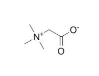 Betaine 甜菜碱 CAS:107-43-7