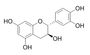 Catechin 儿茶素,(+)儿茶素,CAS:154-23-4
