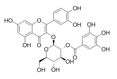 2''-O-Galloylhyperin 2´´-O-没食子酰基金丝桃苷 53209-27-1