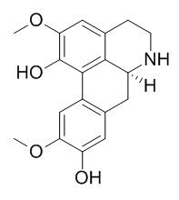 Norisoboldine 去甲异波尔定 CAS:23599-69-1