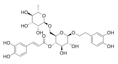 Forsythoside A 连翘脂苷A,CAS:79916-77-1