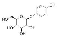 Arbutin 熊果苷 CAS号:497-76-7