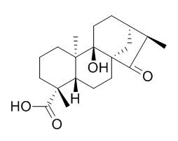 ent-9-Hydroxy-15-oxo-19-kauranoic acid 对映-9-羟基-15-氧代-19-异贝壳杉烷酸 CAS:77658-45-8