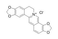 Coptisine chloride 盐酸黄连碱 CAS:6020-18-4