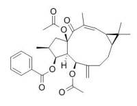 5,15-Diacetyl-3-benzoyllathyrol 大戟因子L3,CAS:218916-52-0