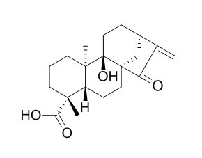 ent-9-Hydroxy-15-oxo-16-kauren-19-oic acid 对映-9-羟基-15-氧代-16-贝壳杉烯-19-酸 CAS:77658-39-0