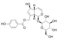 Agnuside 穗花牡荆苷 CAS:11027-63-7