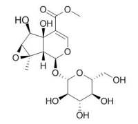 Sesamoside 胡麻属苷 CAS:117479-87-5