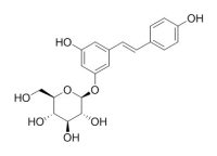 Polydatin 虎杖苷 CAS:27208-80-6