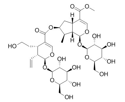 Sylvestroside I 林生续断苷I CAS:71431-22-6