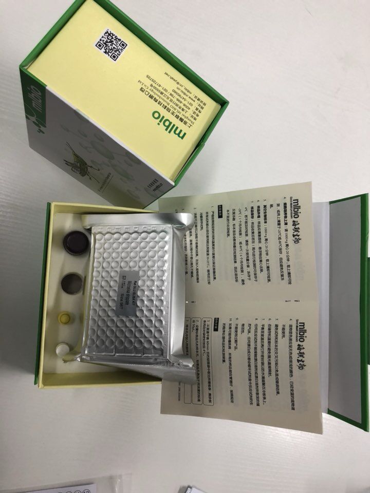人成纤维细胞生长因子8(FGF8)ELISA试剂盒产品图