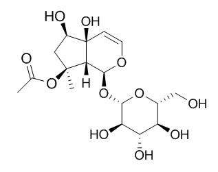 8-O-Acetylharpagide 8-O-乙酰哈巴苷 CAS:6926-14-3