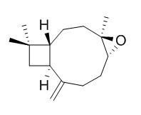 Caryophyllene oxide 氧化石竹烯 CAS：1139-30-6