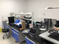 人抗红细胞抗体(RBC)ELISA试剂盒